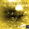 Download track Lost In The Bush