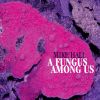 Download track A Fungus Among Us