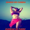 Download track MI Barco Camaronero