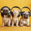 Download track Soothing Animal Tunes