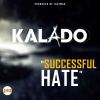 Download track Successful Hate (Instrumental)