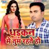 Download track Dhadkan Me Tum Rahte Ho