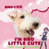 Download track BIBO Had A Dream (Inst Ver.)