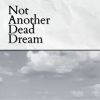 Download track Not Another Dead Dream