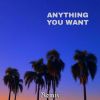 Download track Anything You Want (Extended Remix)