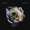 Download track Last Rose