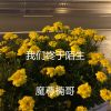 Download track 我们终于陌生 (伴奏)