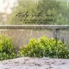 Download track Calming Rainfall Sounds From The Terrace, Pt. 2