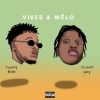 Download track Vibes&Melo