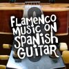 Download track Flamenco Passion