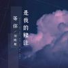 Download track 等你是我的赌注 (伴奏)