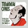 Download track Welsh Tourist Bored