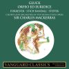 Download track Orfeo Ed Euridice, Act III, Scene 1 19. Vieni, Segui I Miei Passi'