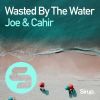 Download track Wasted By The Water (Original Club Mix)