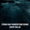 Download track Strong Rain Thunderstorm Sounds, Pt. 13