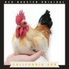 Download track Rooster (Interlude)