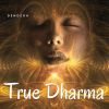 Download track Protecting The True Dharma