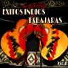 Download track Ecos Del Llano
