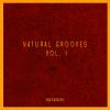 Download track Natural Grooves 08