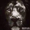 Download track Les Rendements De Lion (The Overture)