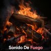 Download track Sonido De Fuego - Relajante En Chimenea (Repite Esta Canción: Dormir, Relajarte, Sonidos De Fuego, Meditar, Estudiar)