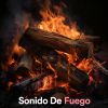 Download track Sonido De Fuego Crepitando Para Meditar Y Dormir Profundamente (Repite Esta Canción: Dormir, Relajarte, Sonidos De Fuego, Meditar, Estudiar)