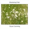 Download track Wandering Path (Stereo)