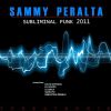 Download track Subliminal Funk 2011 (Sebastien Rebels Mix)