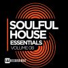 Download track Lift Your Voice (Soulshy Mix)