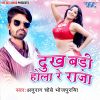 Download track Bina Haradiya Ke