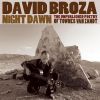 Download track Night Dawn (Silver Dollar)