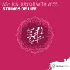 Download track Strings Of Life (Extended Mix)