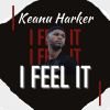 Download track I Feel It