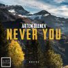 Download track Never You (Original Mix)