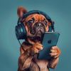 Download track Música Pacífica Para Perritos