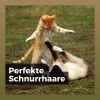 Download track Katzenschlafmusik