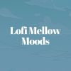 Download track DMT Lofi