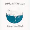 Download track Ocean In A Shell