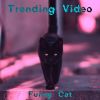 Download track Funny Cat (Slowed + Reverb Tik-Tok Remix)