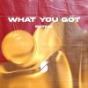 Download track What You Got