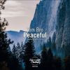 Download track Peaceful (Original Mix)