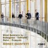 Download track Wind Quintet In A-Flat Major, Op. 114 I. Allegro Moderato (Un Poco Rubato)