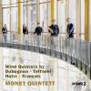 Download track Wind Quintet In G Minor II. Andante