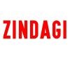 Download track Zindagi