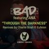 Download track Through The Darkness (Eufeion Radio Edit)