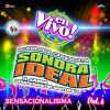 Download track Porros Sensacionales 2: Tormenta De Amor / Anhelos (En Vivo)
