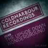 Download track The Upside Down (Extended Mix)