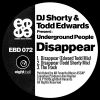 Download track Disappear (Todd Shorty Mix)