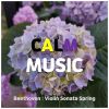 Download track Calm Piano Classical Music