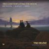 Download track Trio Contemplating The Moon: II. Drumroll, Please